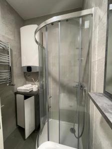 a bathroom with a shower with a toilet and a sink at Fantastic centar Novi Sad in Novi Sad +6 photos