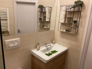 Un baño de Apartman Centar