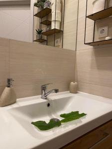 Un baño de Apartman Centar