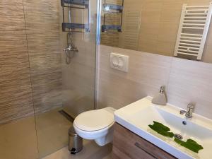 Un baño de Apartman Centar