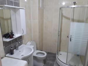 een badkamer met een toilet, een douche en een wastafel bij TANER PANSiYON in Edirne