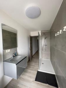 uma casa de banho com um lavatório e um chuveiro em Maison Pétria em Fontaine-lʼÉvêque