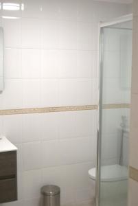 a bathroom with a toilet and a shower at APARTAMENTO AVDA. LAS ARTES in Puerto de Mogán