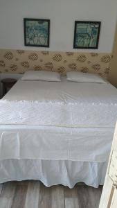 伊列乌斯Hospedaria Ilhéus 03的一张白色的大床,上面有两个枕头