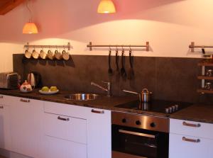 una cucina con lavandino e piano di lavoro di Apartment Angelina ad Andalo