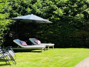2 chaises et un parasol dans l'herbe dans l'établissement Chalet Zell by Chalet Alp Lux, à Zell am See