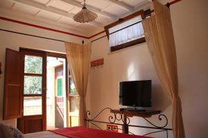 1 dormitorio con 1 cama, TV y ventana en B&B Il casale dei gechi, en Poggio Nativo