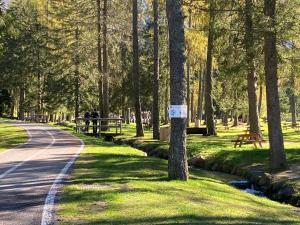 Fotografia z galérie ubytovania Finestra sull’Adamello v destinácii Passo del Tonale
