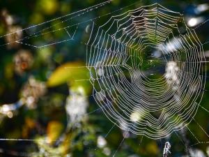 Fotografia z galérie ubytovania Gawra Gustawa v destinácii Ustrzyki Dolne