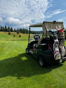 a golf cart parked on a field of grass at Ferienwohnung Sonnengarten in Schönberg
