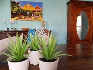 Fotografie z fotogalerie ubytování Marazul Dive Apartment F1 v destinaci Sabana Westpunt