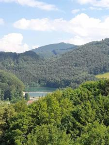 vistas a un lago en medio de una montaña en Apartman Milekic, en Mrkonjić Grad