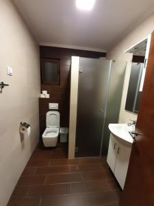 Apartman Milekic في مركونيتش غراد: حمام صغير مع مرحاض ومغسلة