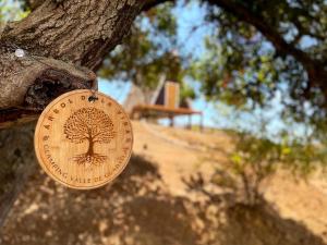 a medal attached to a tree on a tree at Árbol de la Vida Glamping Valle de Guadalupe 