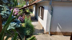 O grădină în afara Apartman Nebojša