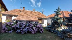 O grădină în afara Apartman Nebojša