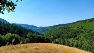 Peisaj natural din apropierea acestui apartament