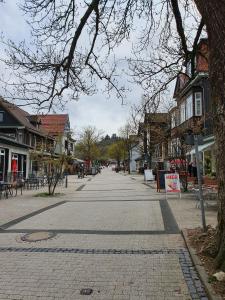 une rue vide dans une petite ville avec des bâtiments dans l'établissement Apartment am Bocksberg, à Hahnenklee