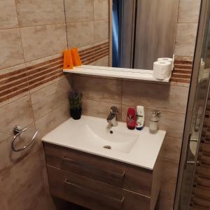 a bathroom with a sink and a mirror at APARTMA in SOBE PILIH in Vipava