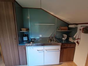 Köök või kööginurk majutusasutuses Chalet Filfalle +2 fotot