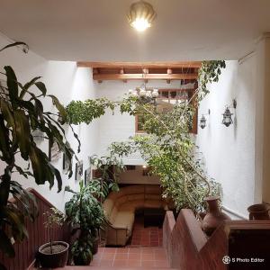 Zahrada ubytování Hostal La Catolica