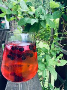 a drink in a glass sitting on a table at Haus Schwaighof in Arzl im Pitztal