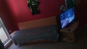 TV a/nebo společenská místnost v ubytování Byt 2+1 s balkonem + 4 fotografie