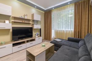 a living room with a couch and a television at Chayka Comfort Apartment in Varna City