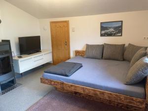 Μια τηλεόραση ή/και κέντρο ψυχαγωγίας στο Apartment Evelyn