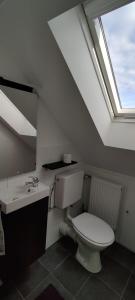 a bathroom with a toilet and a sink and a skylight at Tinyloft in Beerfelden