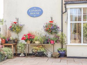 um monte de vasos de plantas ao lado de uma casa em Little London em Battle