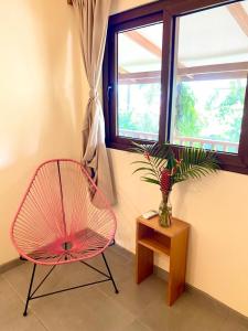 Foto sihtkohas Tortuguero asuva majutusasutuse El Hostel del Patio galeriist