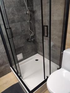 prysznic ze szklanymi drzwiami obok toalety w obiekcie Dom nad jeziorem Strażym w mieście Zbiczno