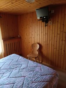 a bedroom with a bed and a tv and a chair at Flora Quinz in Sappada