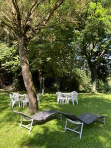 a group of tables and chairs under a tree at Logis Deshors-Foujanet in Chamboulive