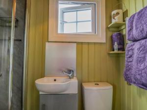 a bathroom with a sink and a toilet and a window at Bracken Hut at Copy House Hideaway in Barnoldswick
