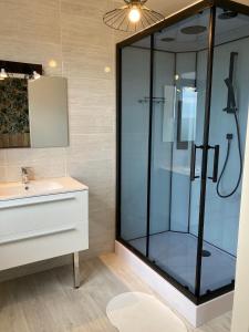 a bathroom with a glass shower and a sink at Gîte "le haut des Poujades" in Reilhaguet