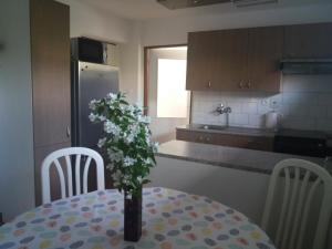 Kuchyňa alebo kuchynka v ubytovaní Apartmán Na Skále