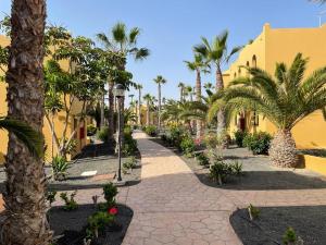 una pasarela con palmeras y un edificio amarillo en Casa Julia - OASIS PAPAGAYO en Corralejo