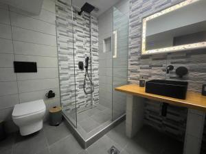 a bathroom with a shower and a toilet and a sink at Felicia`s House in Agria