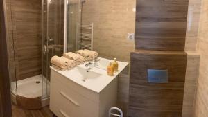 W łazience znajduje się umywalka i prysznic. w obiekcie Fig Tree House w Budapeszcie