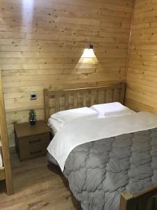 a bedroom with a bed with a wooden wall at Guesthouse Demushi in Valbonë