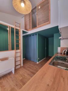 a kitchen with green cabinets and a sink at Superbe appartement La Rochelle in La Rochelle