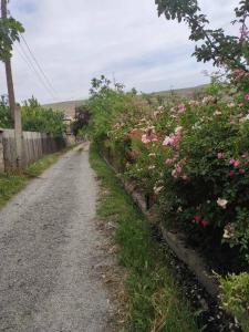 a dirt road with pink flowers and a fence at Mzia's Garden in Kʼvakhvreli