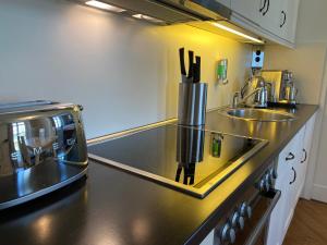 a kitchen with a sink and a counter top at Jagdschloss Suite - premium castle hideway in Hohen Niendorf