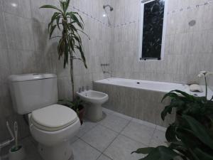 a bathroom with a toilet and a bath tub with a plant at Depto LA QUILMES in Concepción del Uruguay