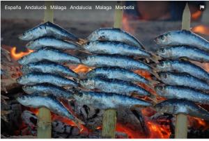 マラガにあるHuelintownの火の上の棒魚群