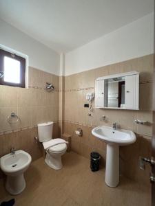 uma casa de banho com um WC e um lavatório em Vila Mata em Voskopojë
