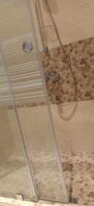 een douche in een badkamer met een glazen deur bij Coin Du Ciel-Vue Imprenable Océan avec piscine in Agadir