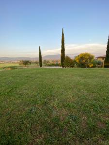 een grasveld met bomen op de achtergrond bij Casale in collina vista Assisi,Brufa di Torgiano in Brufa